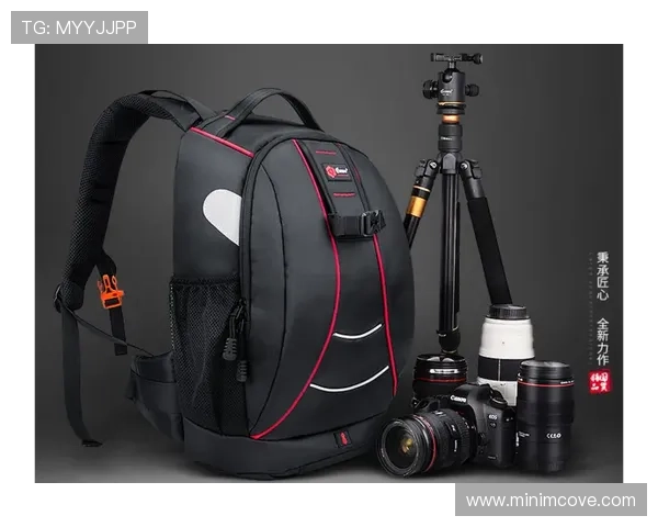 欧博二代D豪华版多功能集成，满足家庭多样化智能需求